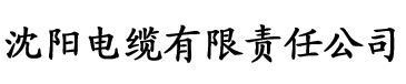 国产免费午夜高清电缆厂logo